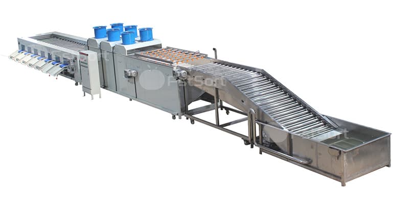 images/1724829827371eggplant processing machine.jpg